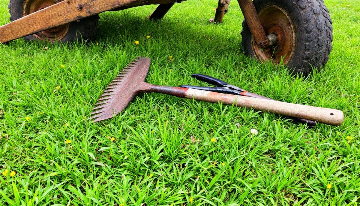 découvrez des méthodes naturelles et efficaces pour se débarrasser du chiendent dans votre jardin. apprenez des astuces écoresponsables pour lutter contre cette mauvaise herbe tenace et favoriser la santé de vos plantes.