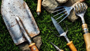 découvrez notre guide complet des outils du paysagiste, présentant les équipements indispensables pour les professionnels du paysage. apprenez à choisir les bons outils pour optimiser votre travail et améliorer vos créations extérieures.